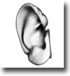 Ear